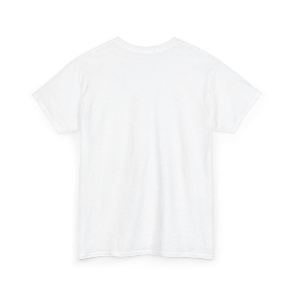 I Survived Another Meeting That Could've Been An Email T-Shirt