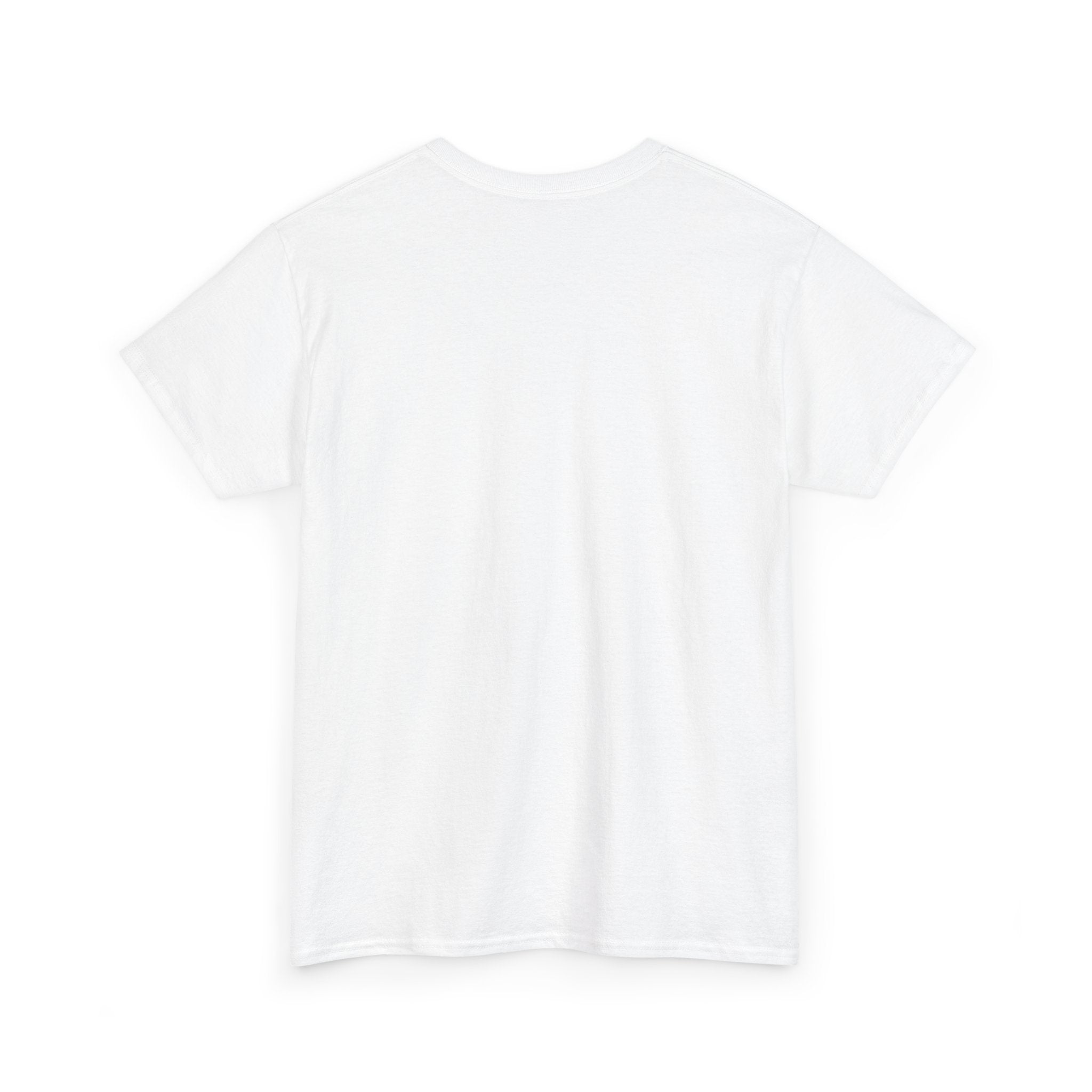 I Survived Another Meeting That Could've Been An Email T-Shirt