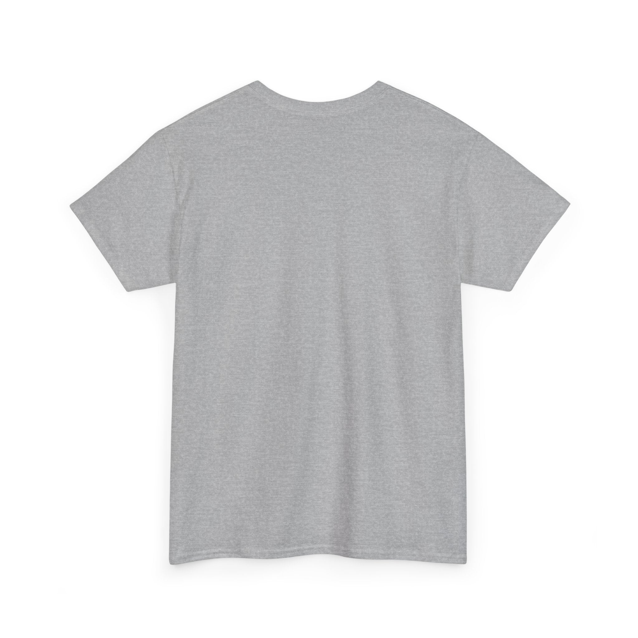 I Survived Another Meeting That Could've Been An Email T-Shirt