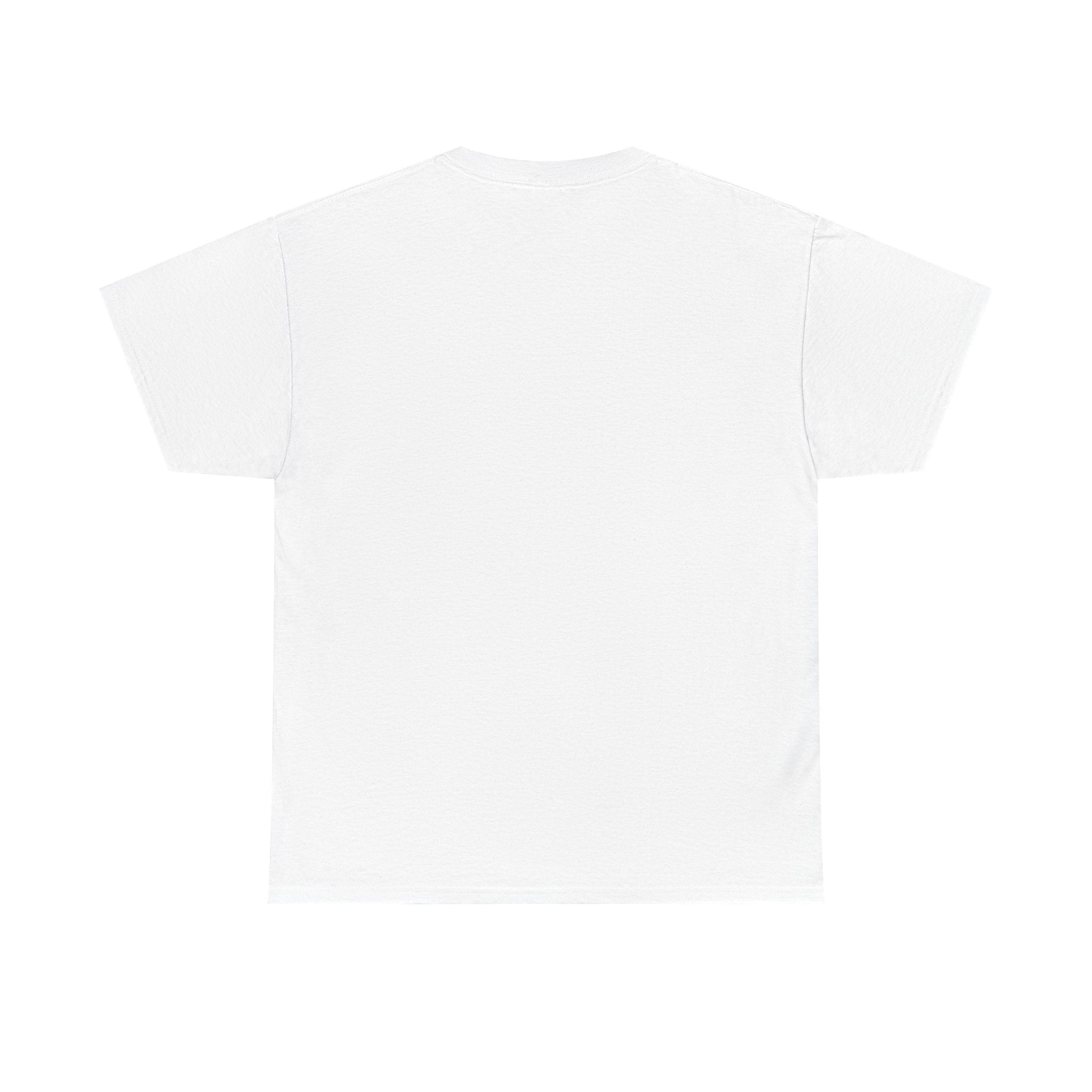 I Survived Another Meeting That Could've Been An Email T-Shirt