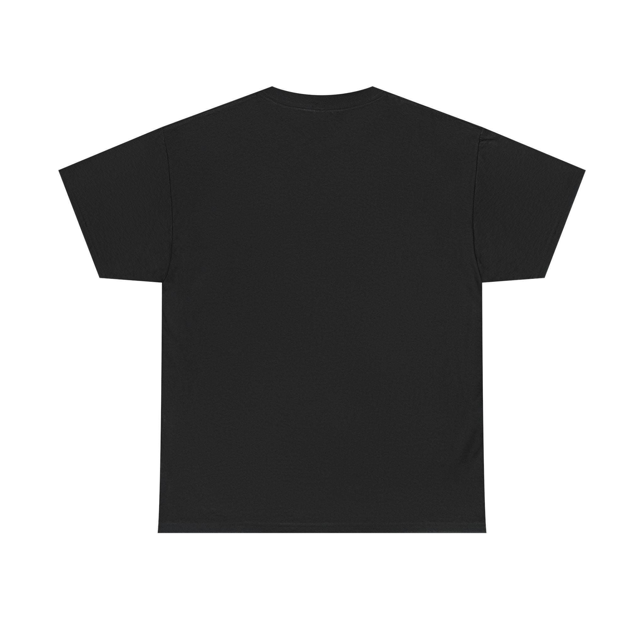 I Survived Another Meeting That Could've Been An Email T‑Shirt