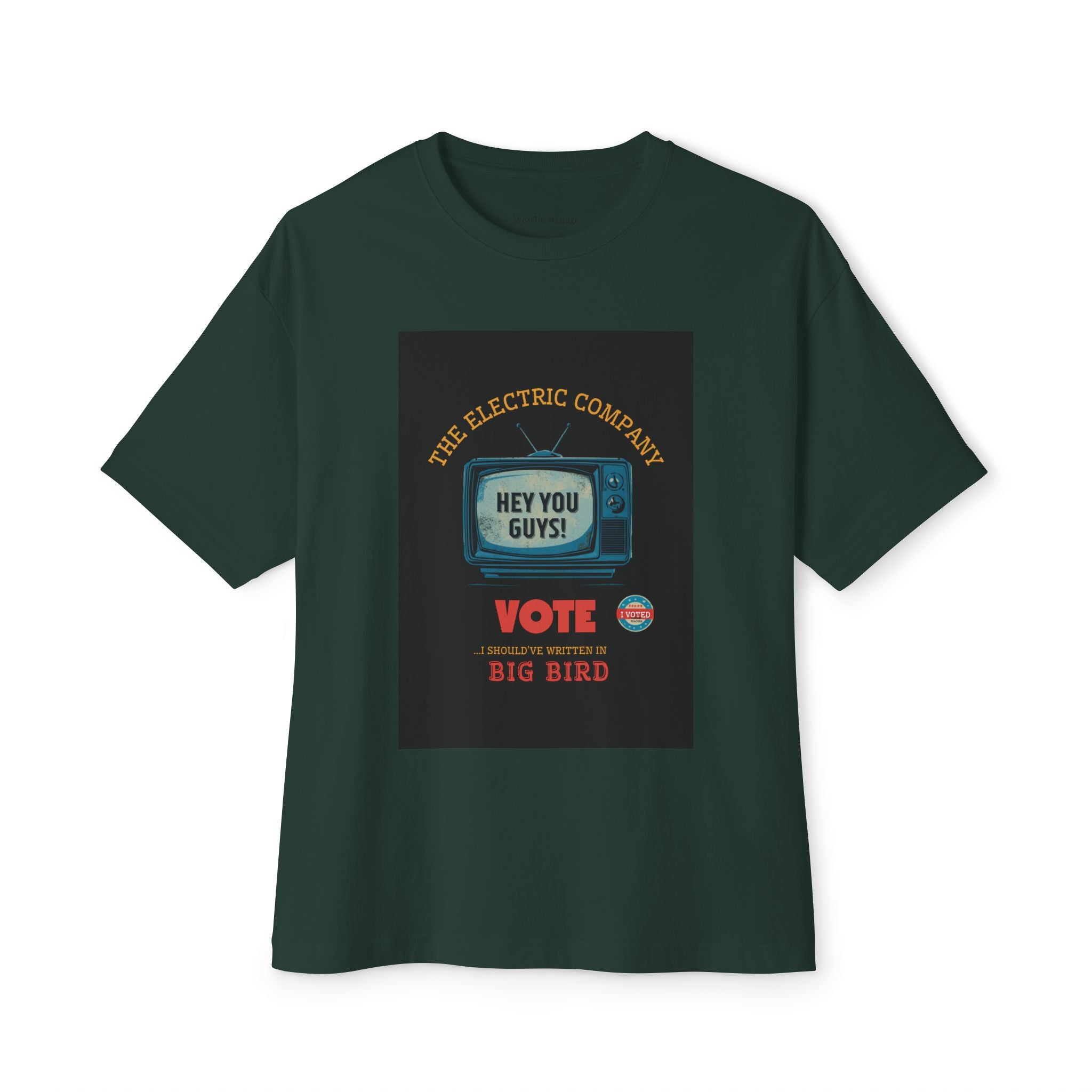 The Electric Company I Should've Written In Big Bird T-Shirt | Hey You Guys Political Nostalgia Tee