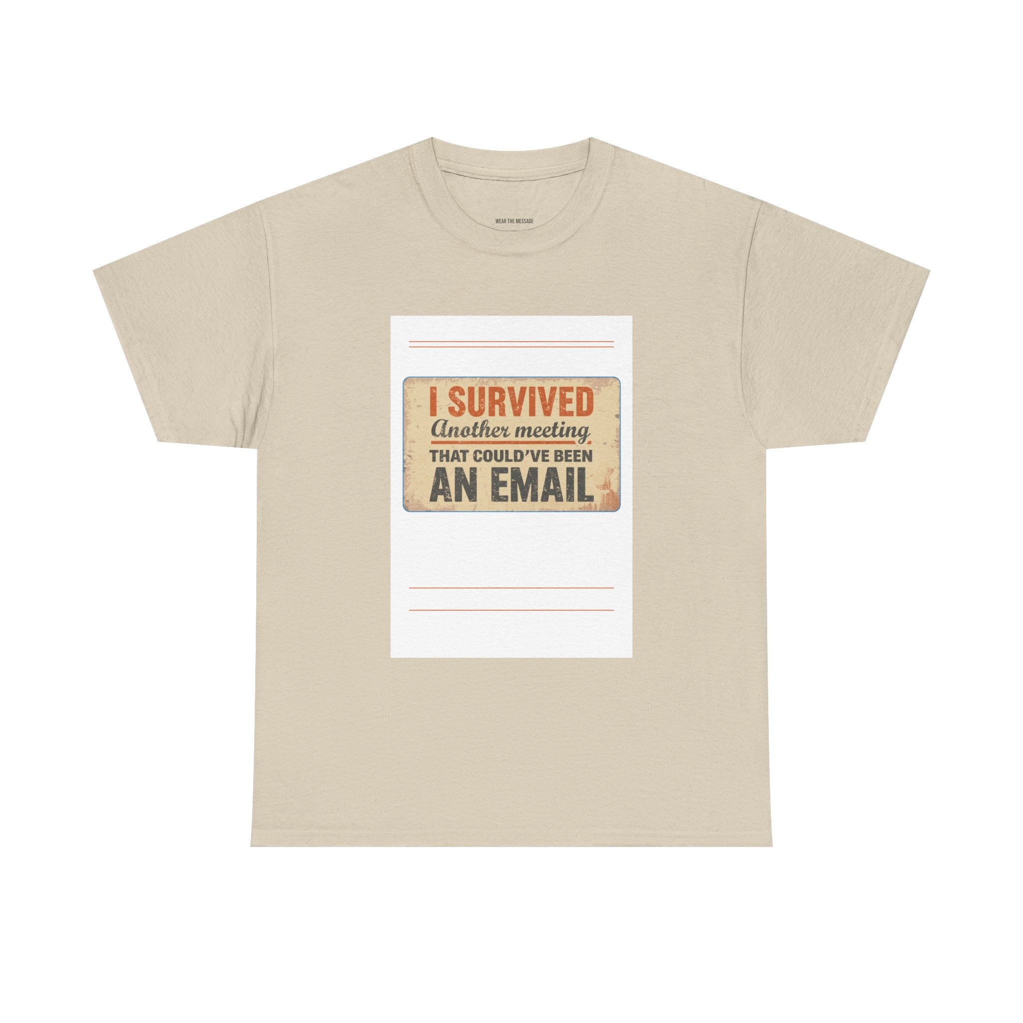 I Survived Another Meeting That Could've Been An Email T-Shirt