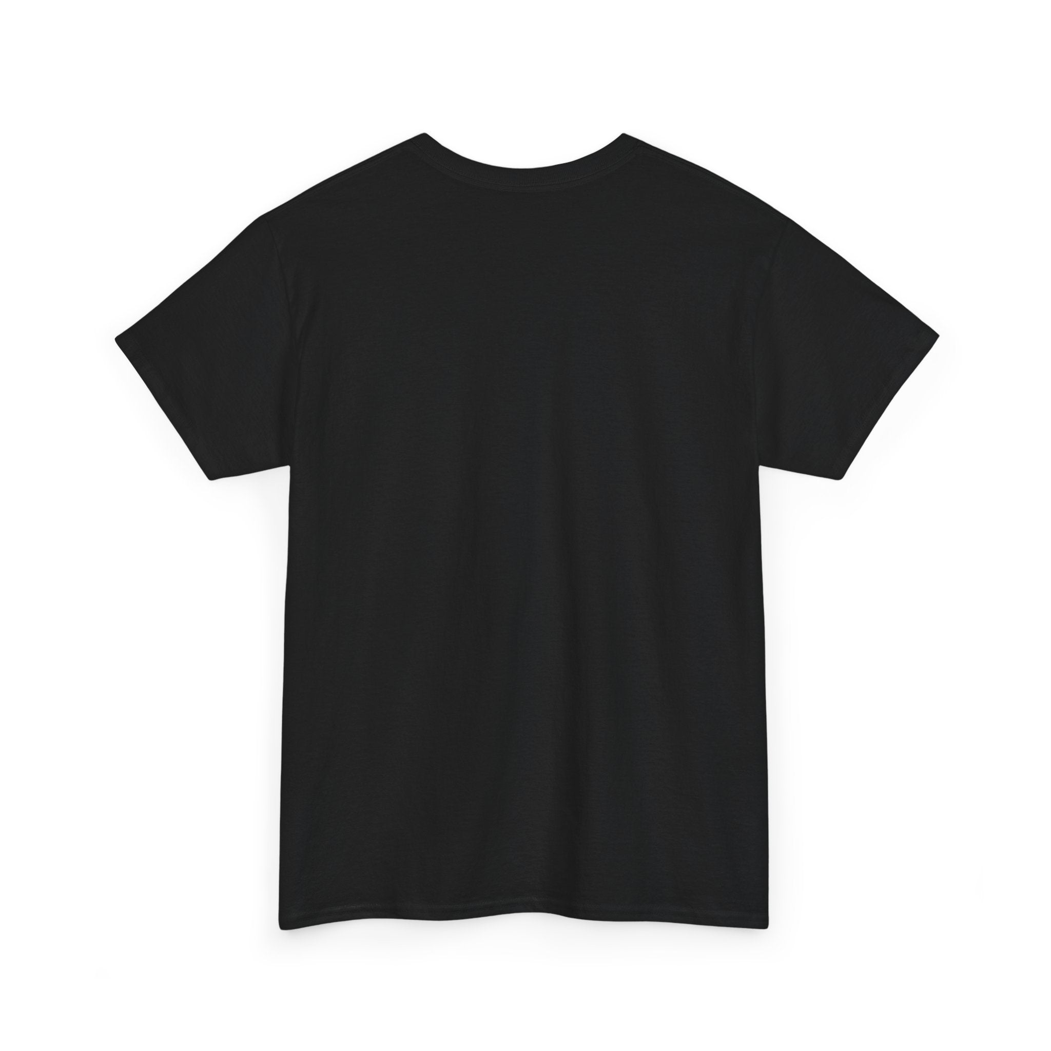 I Survived Another Meeting That Could've Been An Email T‑Shirt